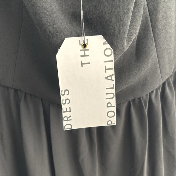 Dress the Population Justitia Fit and Flare Dress NWT - Picture 5 of 6